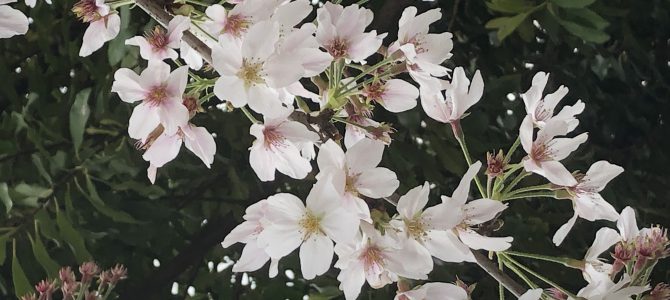 採用情報のお知らせ